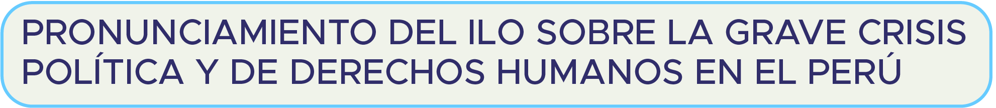 Pronunciamiento crisis Perú